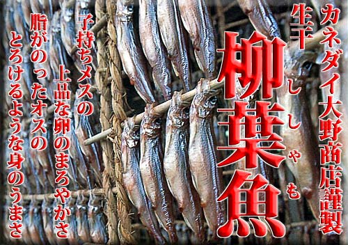 �q������������̏�i�ȗ��̂܂�₩���@�����̂����I�X��������̂Ƃ낯��悤�Ȑg�̂��܂�