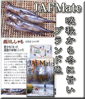 2006年11月　ＪＡＦ Ｍａｔｅ