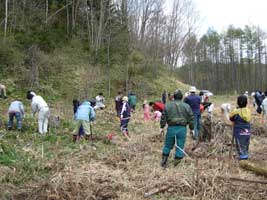 植樹運動には率先して参加しています。