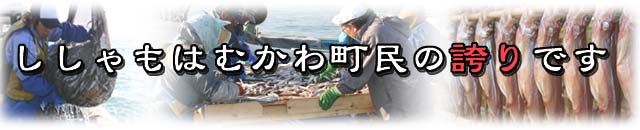 ししゃもはむかわ町民の誇りです