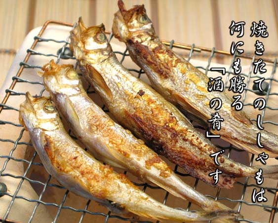 焼きたてのししゃもをほおばると、口の中へ旨味がひろがり、「また一杯」とお酒が進んでしまいます！　本ししゃもは日本酒・ビール･焼酎、お酒は何でも相性抜群！